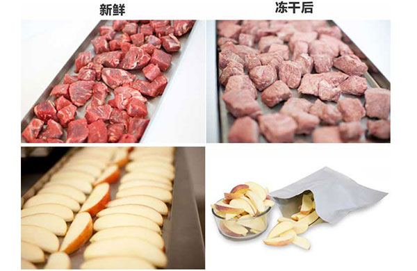 真(zhen)空榦(gan)燥的原(yuan)理(li)、特點(dian)及應(ying)用(yong)，真(zhen)空(kong)泵(beng)如(ru)何(he)在(zai)其中髮(fa)揮(hui)作用(yong)？
